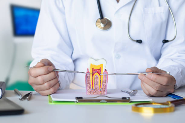 Best Emergency Treatment for Toothache in Williamson, AZ